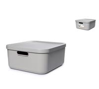 Rotho Box con coperchio Albula in polipropilene riciclato, privo di BPA, cm
