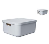 Rotho Box con coperchio Albula in polipropilene riciclato,privo di BPA, cm