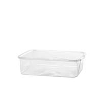 Rotho Box con Coperchio Lona 36x13x26cm, Lt 10