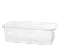 Rotho Box Lona in polipropilene con coperchio. Misure cm 57,5 x 17 x 39,5.