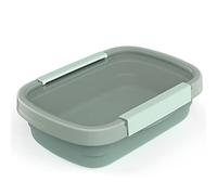 Rotho Clic Eco - Set di 1 contenitori salvafreschezza, in plastica alimentare (PP), senza BPA, verde, trasparente, 0,8 l (22,0 x 15,0 x 6,1 cm)