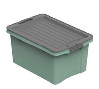 Rotho Compact Scatola di Conservazione con Coperchio, Plastica (PP Riciclato) senza BPA, Verde, A5/4.5 L, 27.0 x 18.5 x 15.0 cm