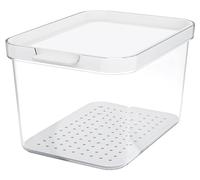 Rotho Contenitore Frigo Cauma, con Coperchio, 2,15Lt