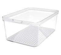 Rotho Contenitore Frigo Cauma, con Coperchio, 4,65Lt