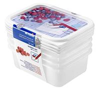 Rotho Domino Set di 4 barattoli per congelatore da 0,5 l con motivo scrivibile sul coperchio, plastica (PP) senza BPA, bianco, 4 x 0,5 l (15,7 x 11,8 x 5,5 cm)