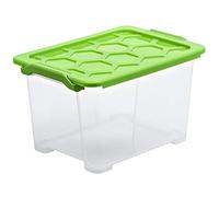 Rotho Evo Safe Keeping Scatola con Coperchio, Plastica (PP) senza BPA, Trasparente/Verde, 15 L, 39.3 x 28.3 x 23.0 cm