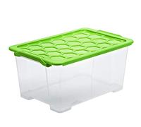 Rotho Evo Safe Keeping Scatola di Conservazione con Coperchio, Plastica (PP) senza BPA, Trasparente/Verde, 44 L, 59.0 x 39.5 x 28.0 cm