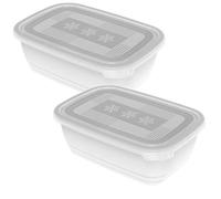 Rotho Freeze Set di 2 Vasetti Freezer con Coperchio, Plastica (PP) senza BPA, Trasparente, 2 x 1.9 L, 23.5 x 16.0 x 10.0 cm