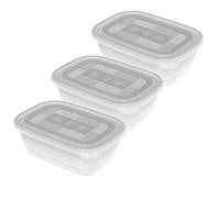 Rotho Freeze Set di 3 Vasetti Freezer con Coperchio, Plastica (PP) senza BPA, Trasparente, 3 x 1 L, 19.5 x 13.5 x 10.0 cm