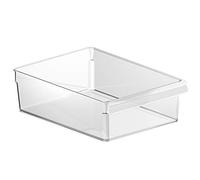 Rotho Loft Frigorifero Organizzatore, Plastica (SAN) senza BPA, Trasparente, L/5 L, 31.0 x 22.0 x 9.0 cm