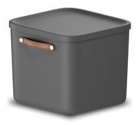 Rotho Maloja Contenitore Impilabile 40l - Scatola con Coperchio e Maniglia