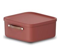 Rotho Maloja Scatola di stoccaggio 20 l, Plastica (PP riciclato), 20 (39.5 x 38.0 x 17.7 cm)