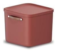 Rotho Maloja Scatola di stoccaggio 40 l, Plastica (PP riciclato), 40 (39.5 x 38.0 x 34.0 cm)
