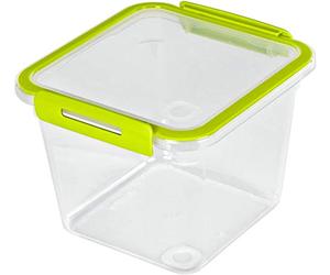 Rotho Memory Barattolo Quadrato per Alimenti Freschi con Coperchio, Plastica (PP) senza BPA, Trasparente/Verde, 1.6 L, 16.0 x 15.0 x 12.1 cm