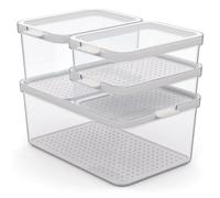 Rotho Set 4 contenitori Cauma trasparenti 2x1,2L - 1x2,15L - 1x4,65L