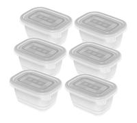 Rotho Set di 6 scatole per congelatore da 0,25 l con coperchio, plastica (PP) senza BPA, trasparenti, 6 x 0,25 l (11,2 x 7,8 x 5,9 cm)