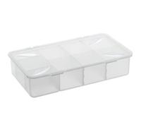 Rotho Snappy Scatola con Scomparti e Coperchio, Plastica (PP) senza BPA, Trasparente, 3 L, 33.9 x 19.8 x 7.6 cm