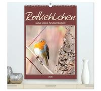 Rotkehlchen, süße kleine Knutschkugeln (hochwertiger Premium Wandkalender 2026 DIN A2 hoch), Kunstdruck in Hochglanz: Gern gesehene Gäste in unseren Gärten
