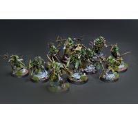 Rotmire Creed Warcry warband COMMISSIONE pro pittura