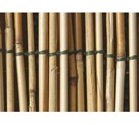 Rotolo Arella Rete Recinzione Canna Bamboo Cannette Frangivista Naturale