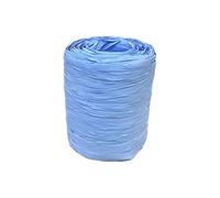 Rotolo di CARTA Rafia Raphia in PP da 200 Metri | VARI COLORI | SINTETICA PER TESSITURA GIARDINAGGIO CARTELLINI CESTI NATALIZI MAZZI DI FIORI CONFEZIONI REGALO (Celeste)