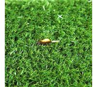 Rotolo di erba artificiale professionale a pelo alto da 20 mm, 200 x 300 cm, prato erboso verde per cani, tappeti in erba sintetica per interni ed esterni, ideale per zerbini, 80 x 120 cm.