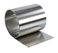 Rotolo di lamina in acciaio inossidabile 1 pz Larghezza 100 mm 1000 Lamiera Sottile Spessore Piastra 0,01/0,05/0,1/0,15/0,2/0,3/0,4/0,5/0,6/0,7/0,8/0,9/1(0.03x100mmx1000mm)