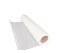 Rotolo di pellicola di trasferimento DTF PET 33 cm x 100 m A3+ 75 e 100 micron compatibile con L1800 L805 P600 P800(75u-One Side Matt)