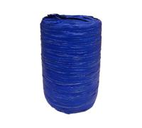 Rotolo di Rafia Raphia BLU in PP da 200 metri 1BK2