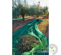 ROTOLO RETE INTERA TELO TELONE RACCOLTA OLIVE ANTISPINA 80G 4X50 M POLIETILENE