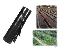 ROTOLO TELO FOGLIA PACCIAMATURA NERA 1X100 MT 0,06 mm PACCIAMANTE ANTIERBACCE