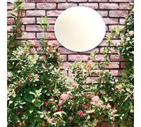 Rotondo/Cerchio Giardino Specchi Acrilici: su Misura Taglie & Incisioni Servizi