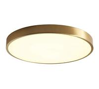 Rotondo Plafoniera,Led Lampada Da Soffitto Tutta In Rame,Ottone Spazzolato Ombra Acrilica Dimmerabile Soffitto Per Cucina Corridoio Camera Soggiorno Dispositivo Di Illuminazione De-Nessuna aurora scon