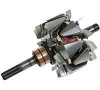 Rotore, Alternatore