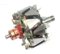 AS-PL AR2007 Rotore, Alternatore