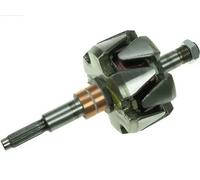 Rotore, Alternatore