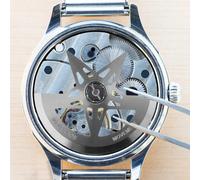 Rotore del movimento dell'orologio, rotore automatico, manutenzione,