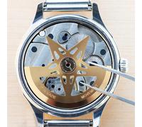 Rotore del movimento dell'orologio, rotore automatico, manutenzione,