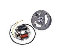 Rotore dello statore di accensione 101_Octane 6V 17W in senso orario, 72.220.043