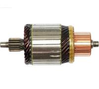 AS-PL SA5040 Ancorina, Starter