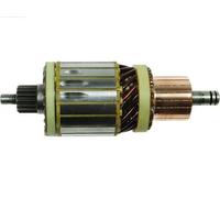 AS-PL SA3029 Ancorina, Starter