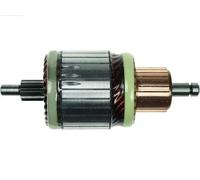 AS-PL SA0031 Ancorina, Starter