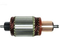 AS-PL SA0041 Ancorina, Starter