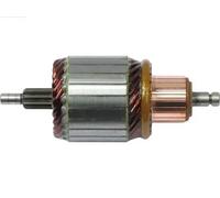 AS-PL SA0061 Ancorina, Starter