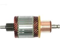 AS-PL SA0087 Ancorina, Starter