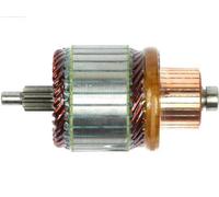 AS-PL SA2021 Ancorina, Starter