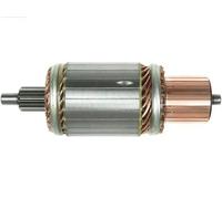 AS-PL SA5020 Ancorina, Starter