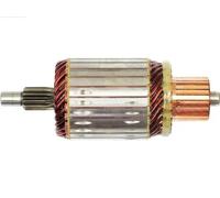 AS-PL SA5035 Ancorina, Starter