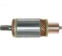 AS-PL SA6003 Ancorina, Starter