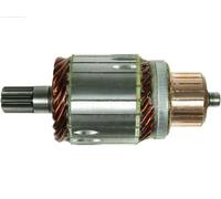 AS-PL SA6013 Ancorina, Starter